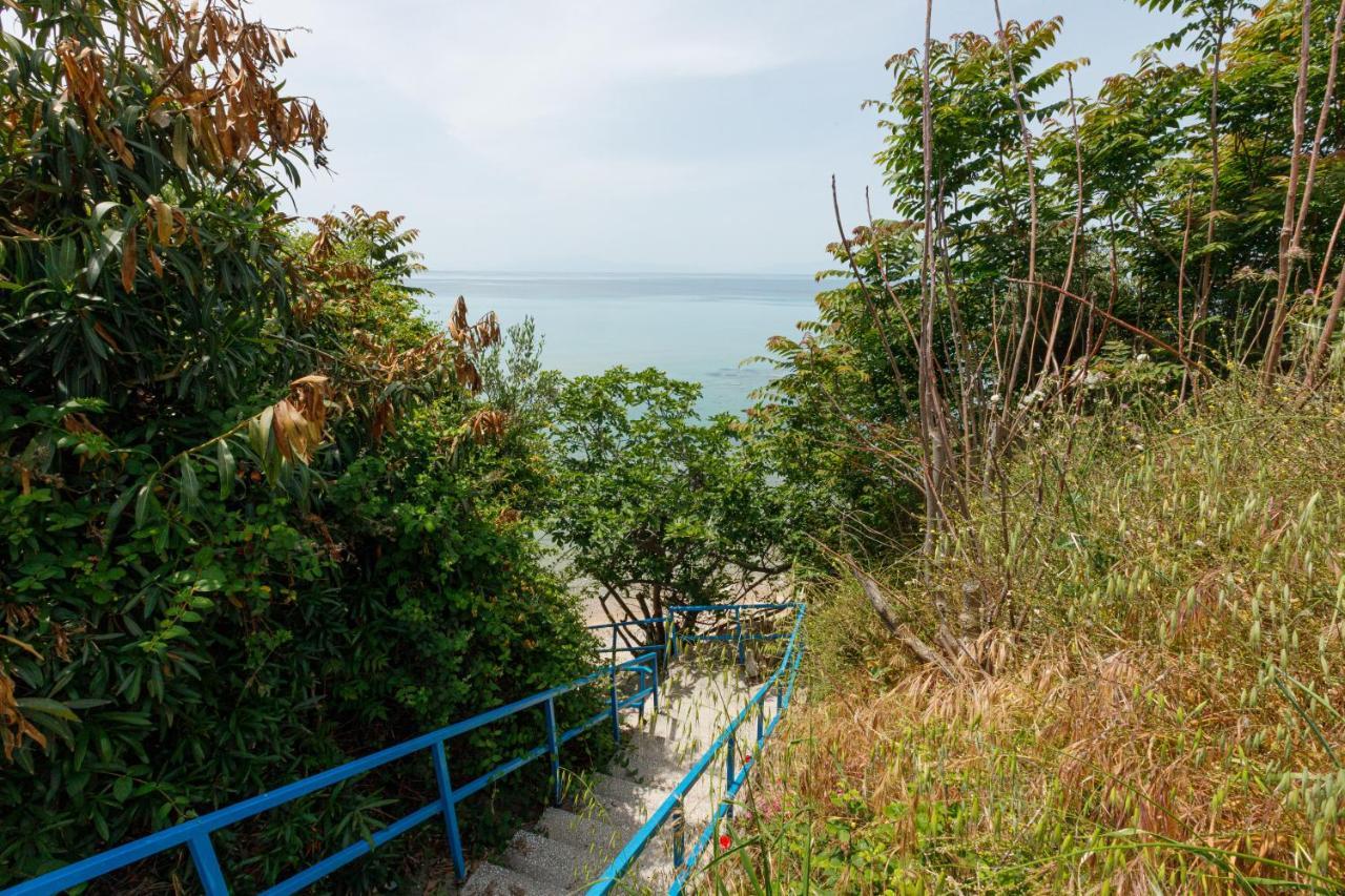 Lofos Apartments In Vergia Halkidiki Szozópoli Kültér fotó